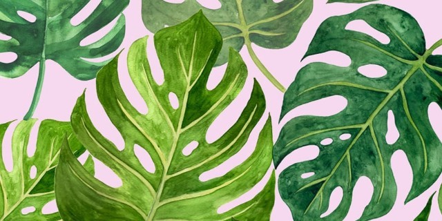 Poshmark banner for @geographically